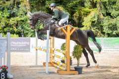 IMG-20250619-WA0029